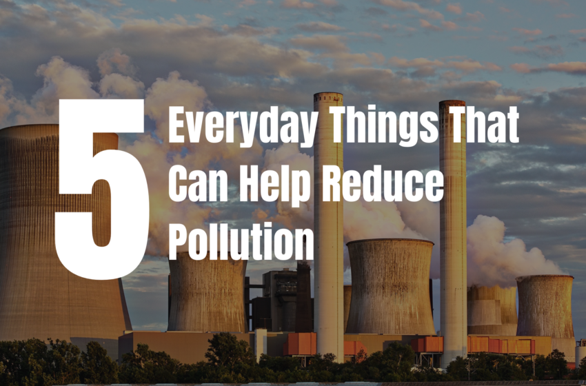  5 Everyday Things That Can Help Reduce Pollution