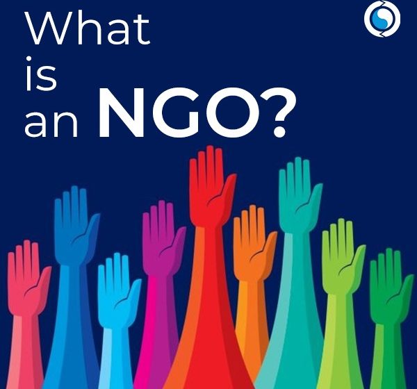  What is an NGO, and Why Are They Important to Support?