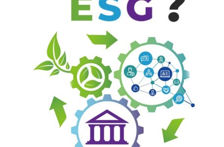 What Is ESG and How Can You Use It to Benefit Your Business/Company?