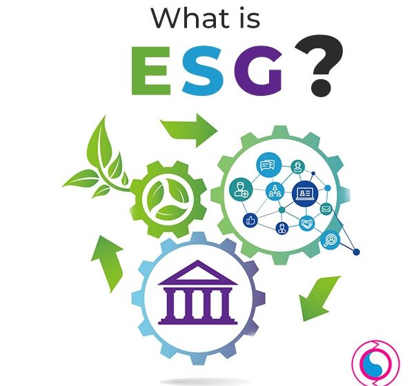  What Is ESG and How Can You Use It to Benefit Your Business/Company?