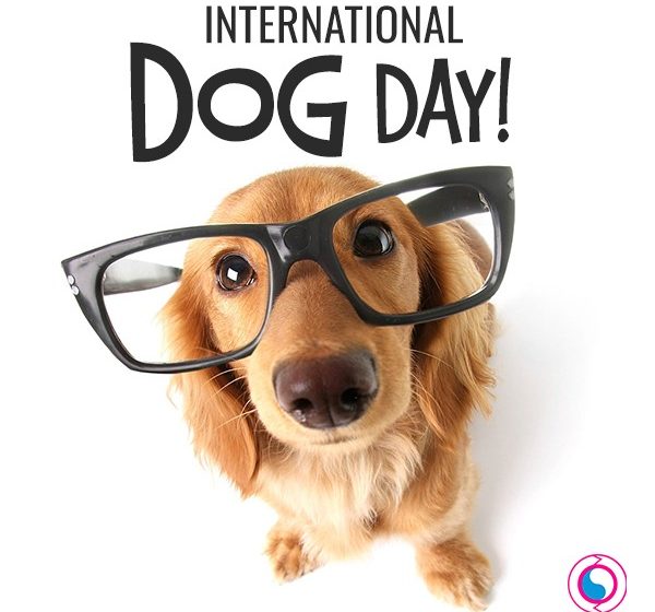 International Dog Day 2024 Date And Dorice Konstance