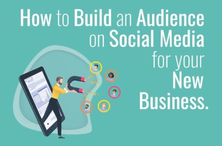 How to: Build an Audience on Social Media for your New Business?